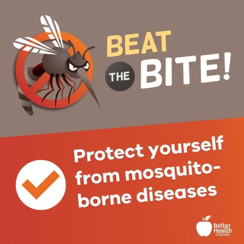 Protect Yourself From Mosquito-borne Disease | Robinvale District ...